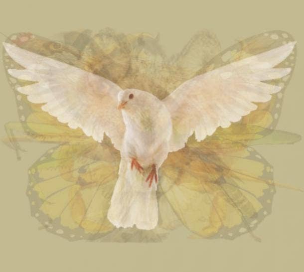 Merpati